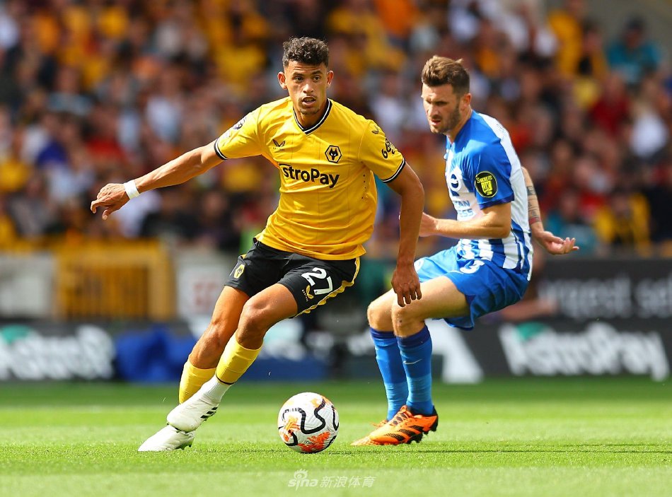 这一消息不 这一消息不